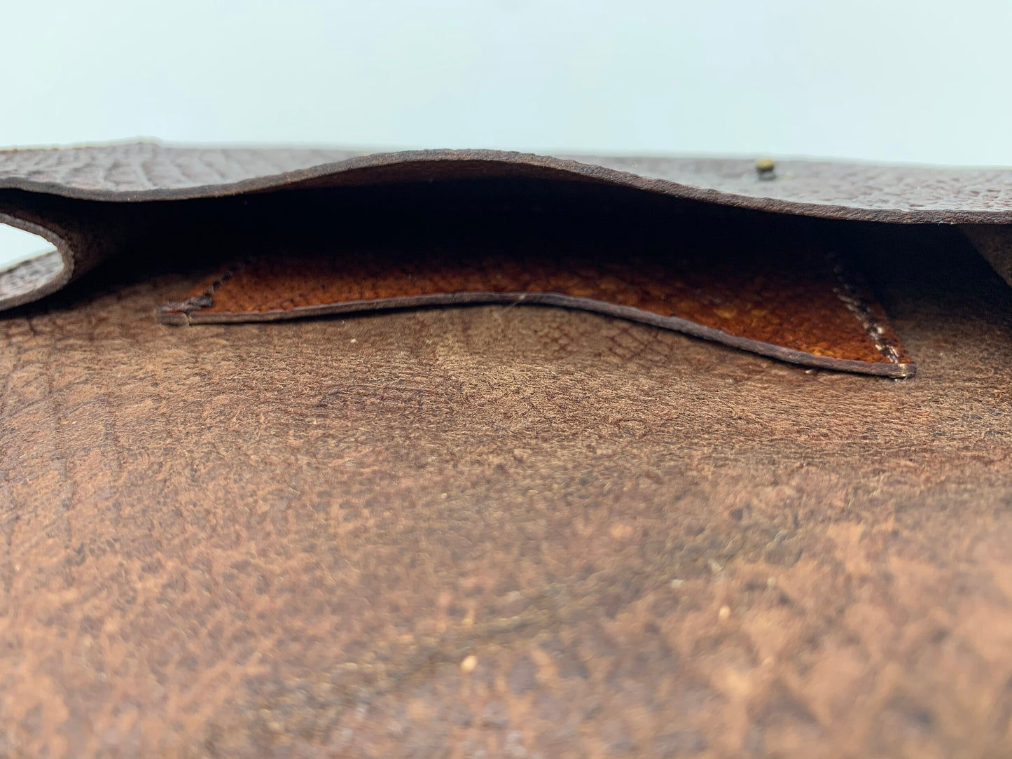 Brown Boa Embossed Long Wallet